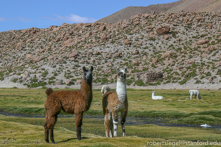 atacama